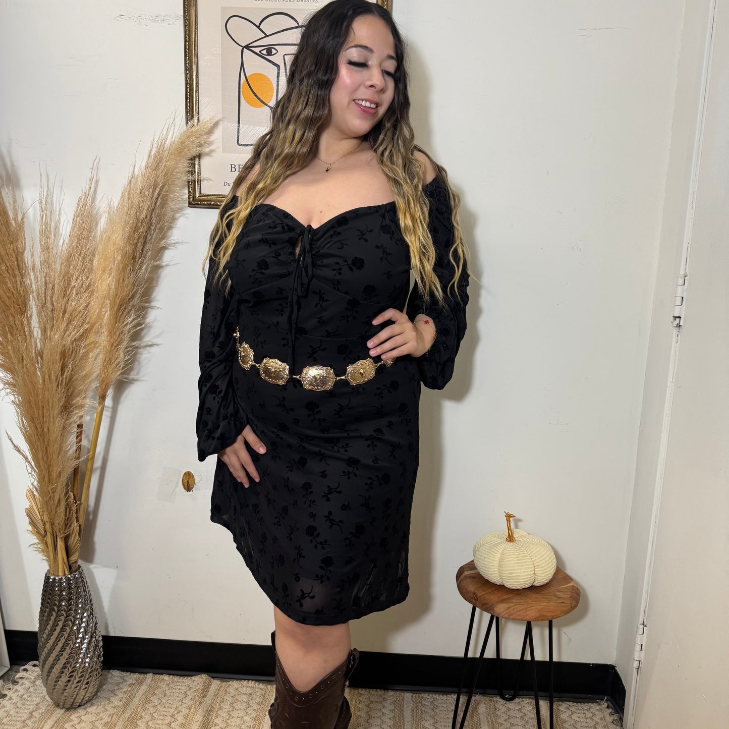 Flocked Mesh Long Sleeve Dress-Black