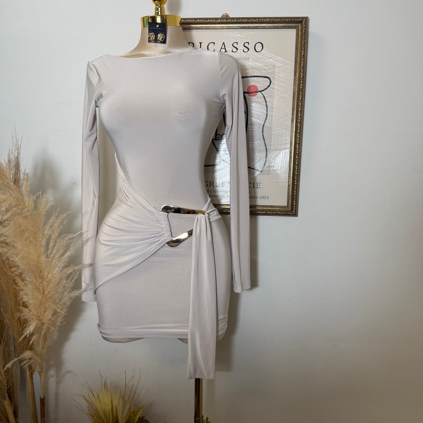 Long Sleeve Drape Trim Detail Mini Dress-Stone