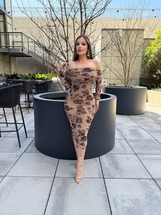 Off Shoulder Mesh Dress-Brown