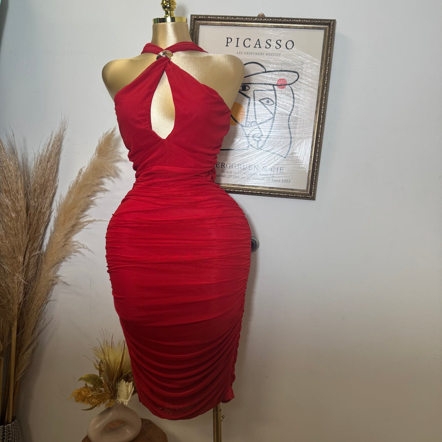 Inara Plus size Dress-Red