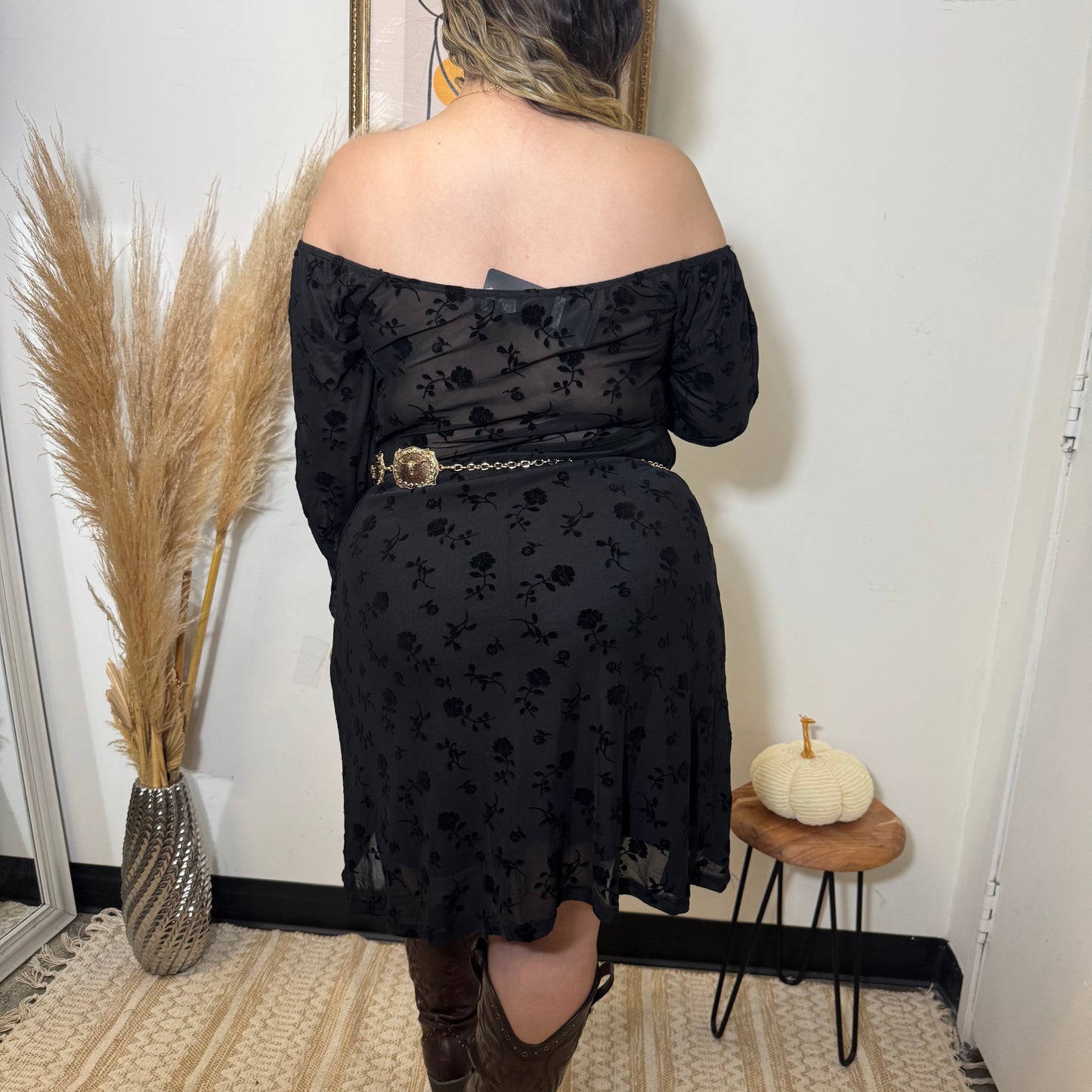 Flocked Mesh Long Sleeve Dress-Black