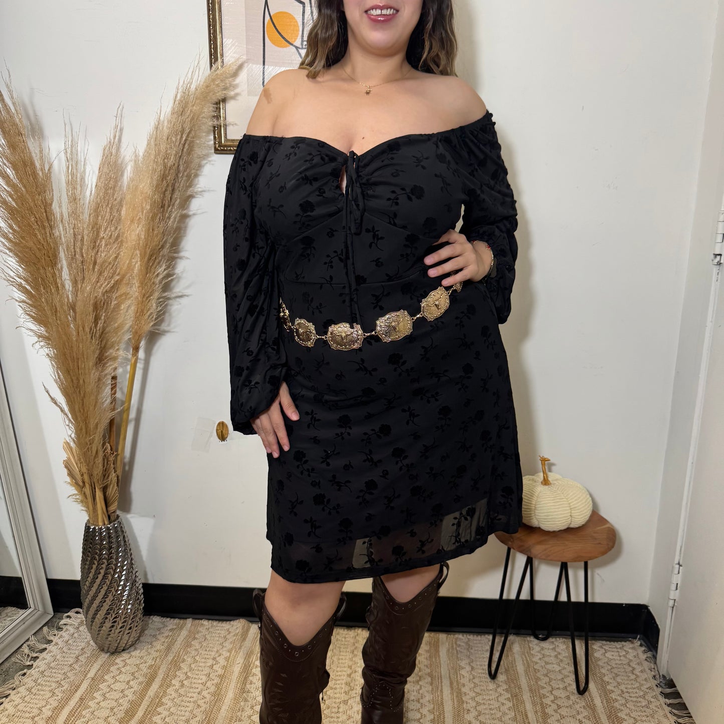 Flocked Mesh Long Sleeve Dress-Black