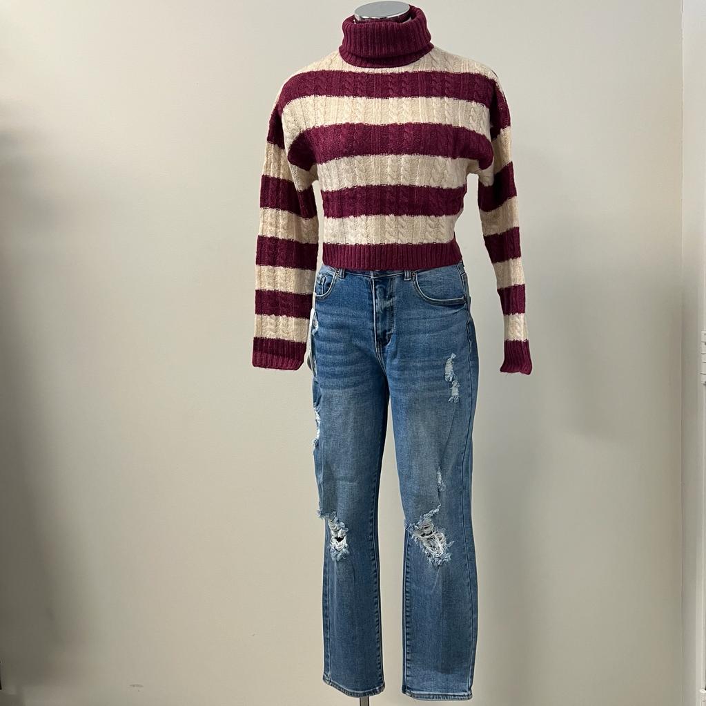 Lia Turtle Striped Knit Cropped Sweater -Violet
