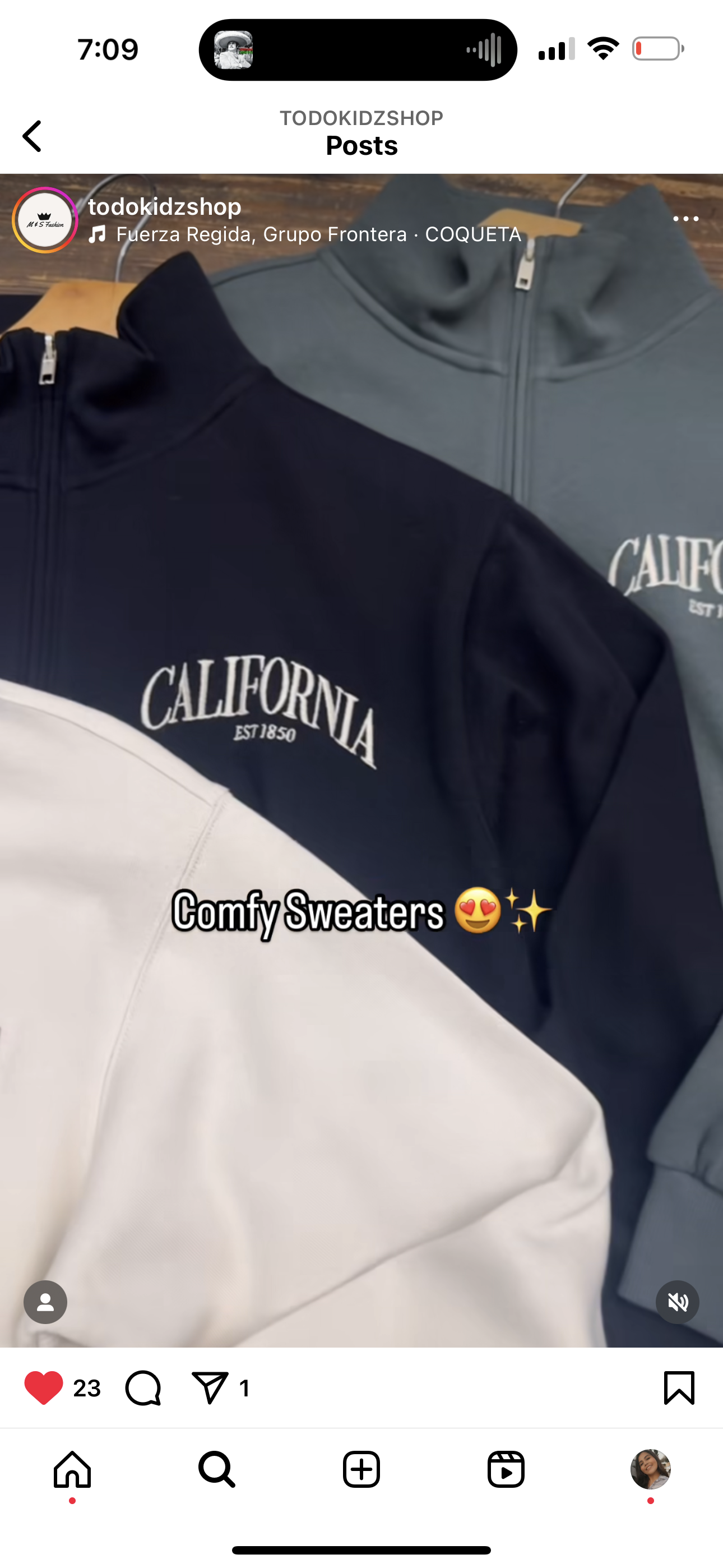 California CrewNeck Sweater-Olive