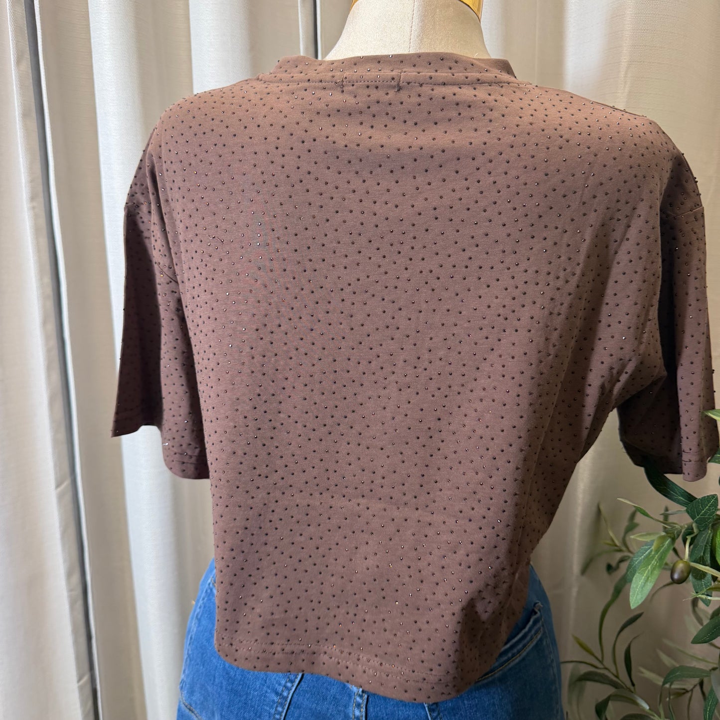 Rhinestone Crop Top-Brown
