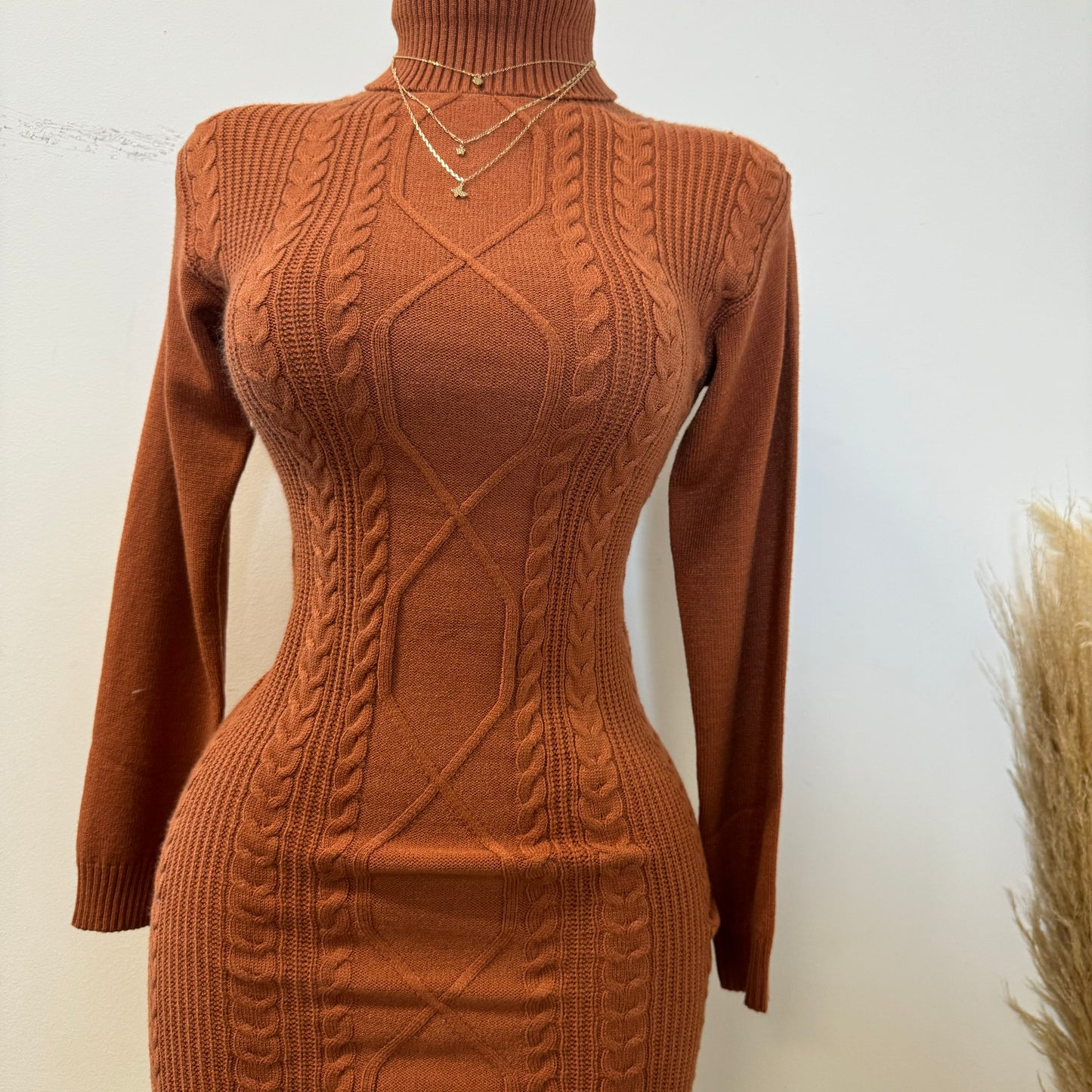 Tu Turtle Neck Sweater Dress-Rust