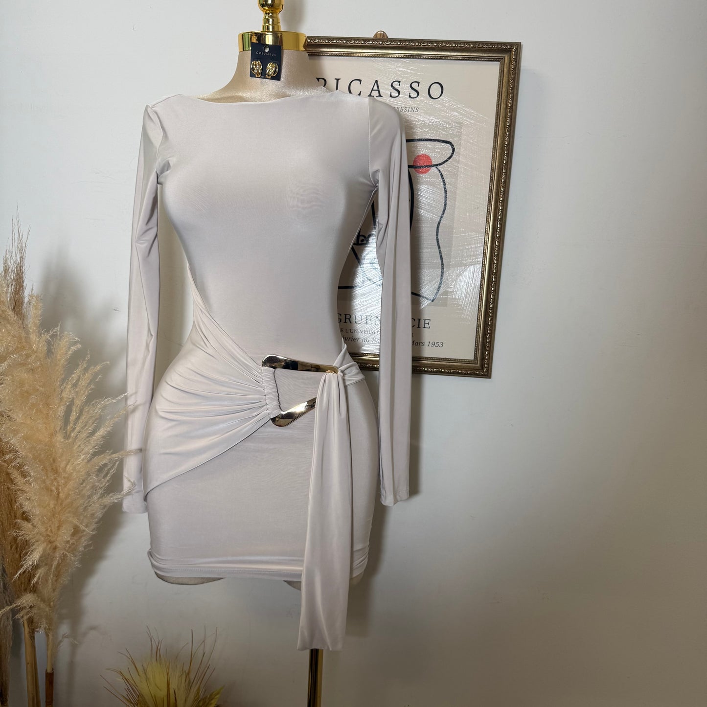 Long Sleeve Drape Trim Detail Mini Dress-Stone
