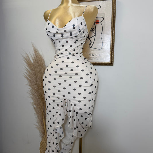 Mismaloya Mesh Dress-Polka Dot Dress