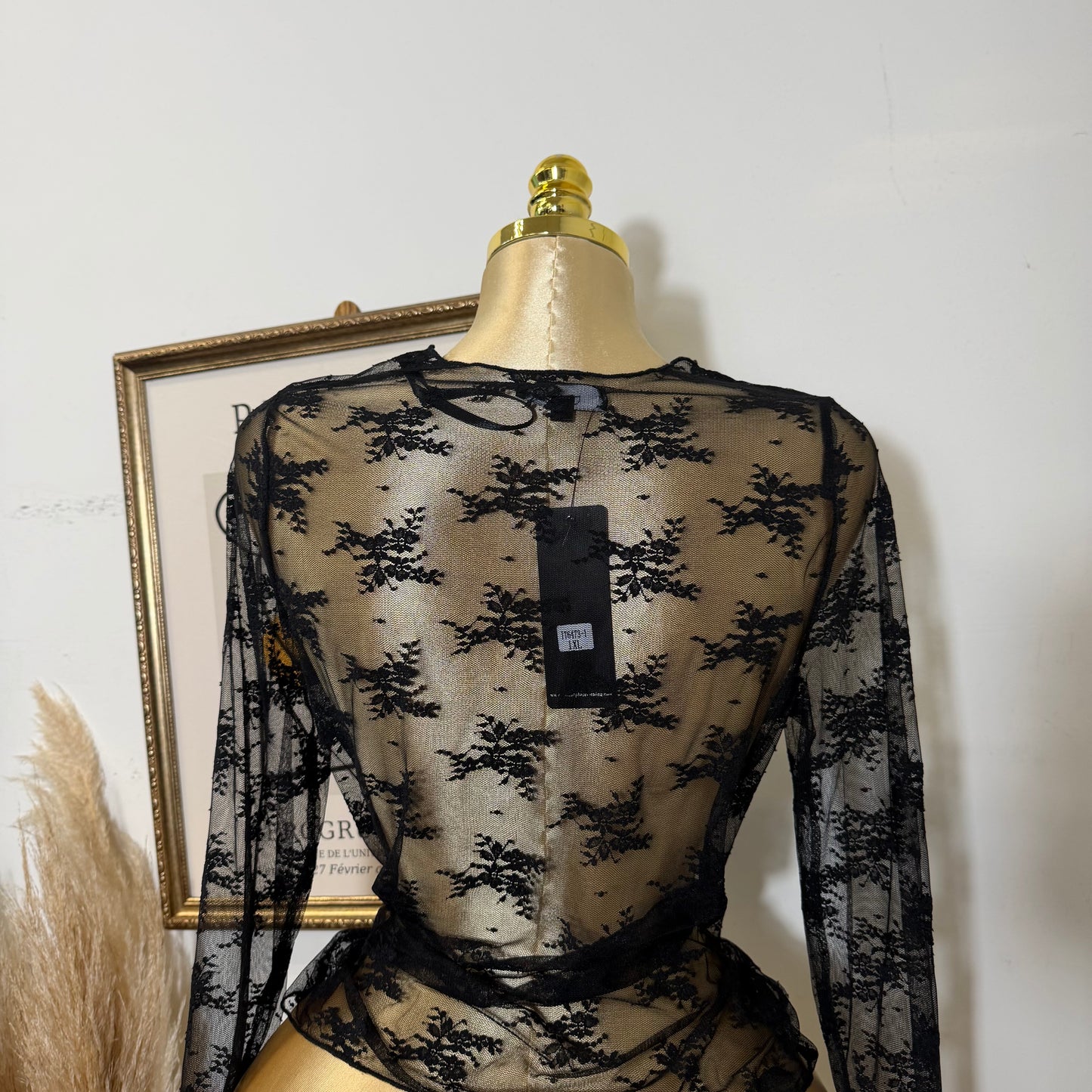 PL Long sleeve sheer lace Mesh Top-Black