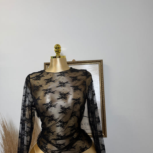PL Long sleeve sheer lace Mesh Top-Black