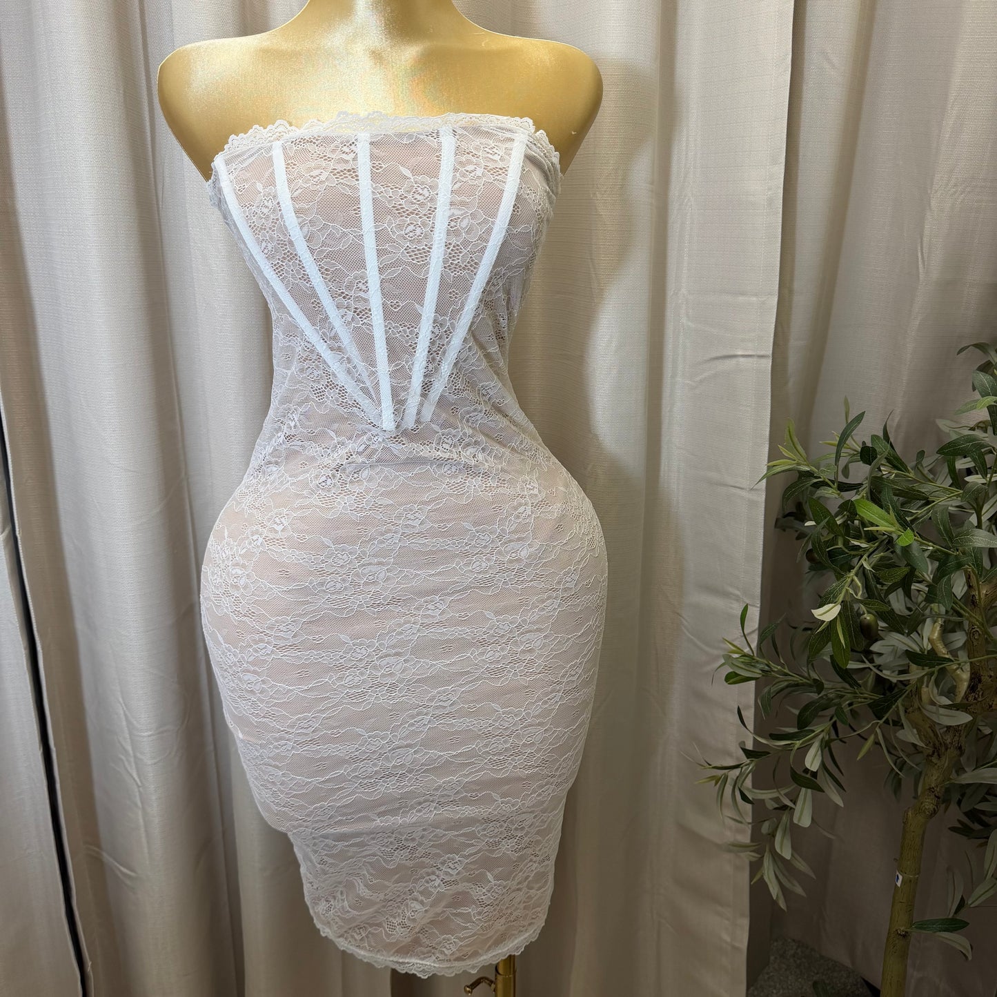 Stretch Lace Corset Body Midi Dress-Ivory