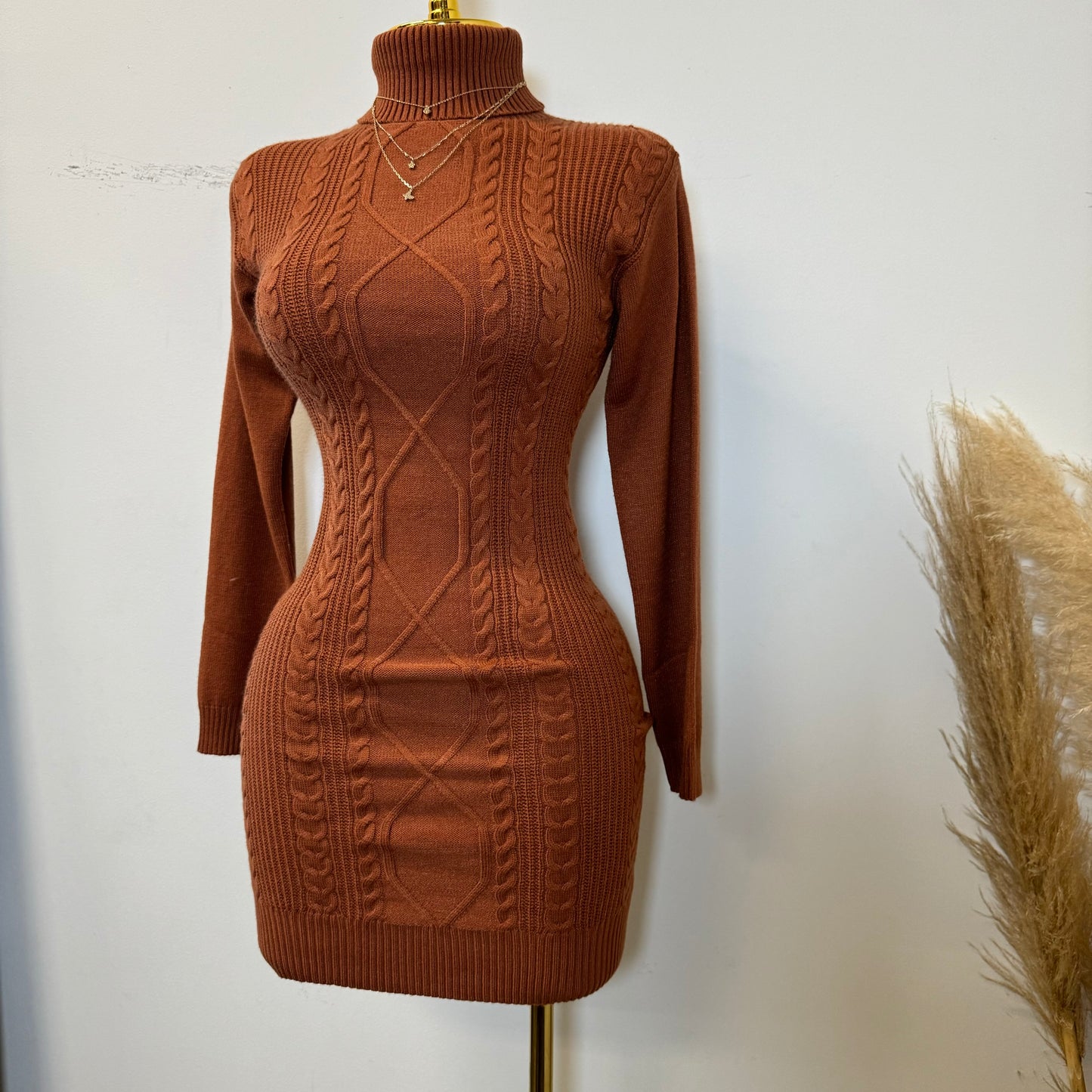 Tu Turtle Neck Sweater Dress-Rust