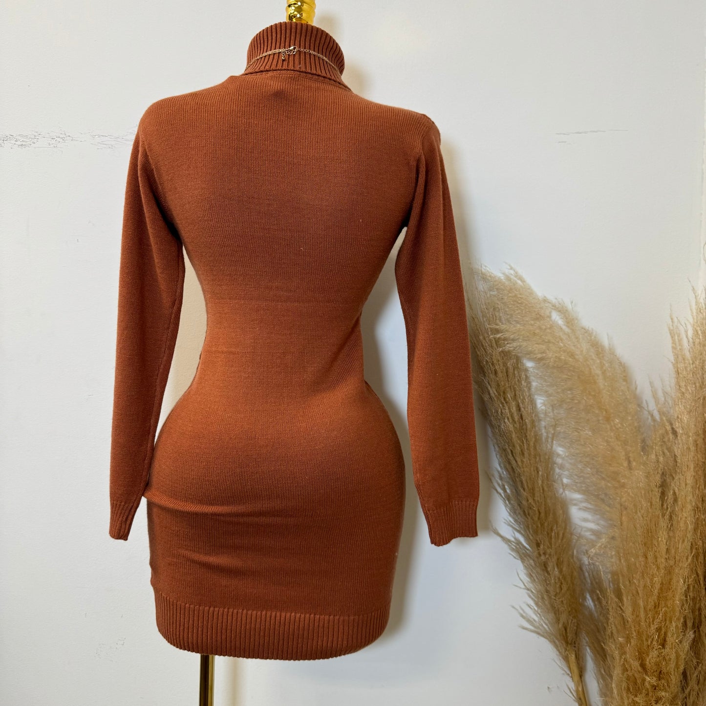 Tu Turtle Neck Sweater Dress-Rust