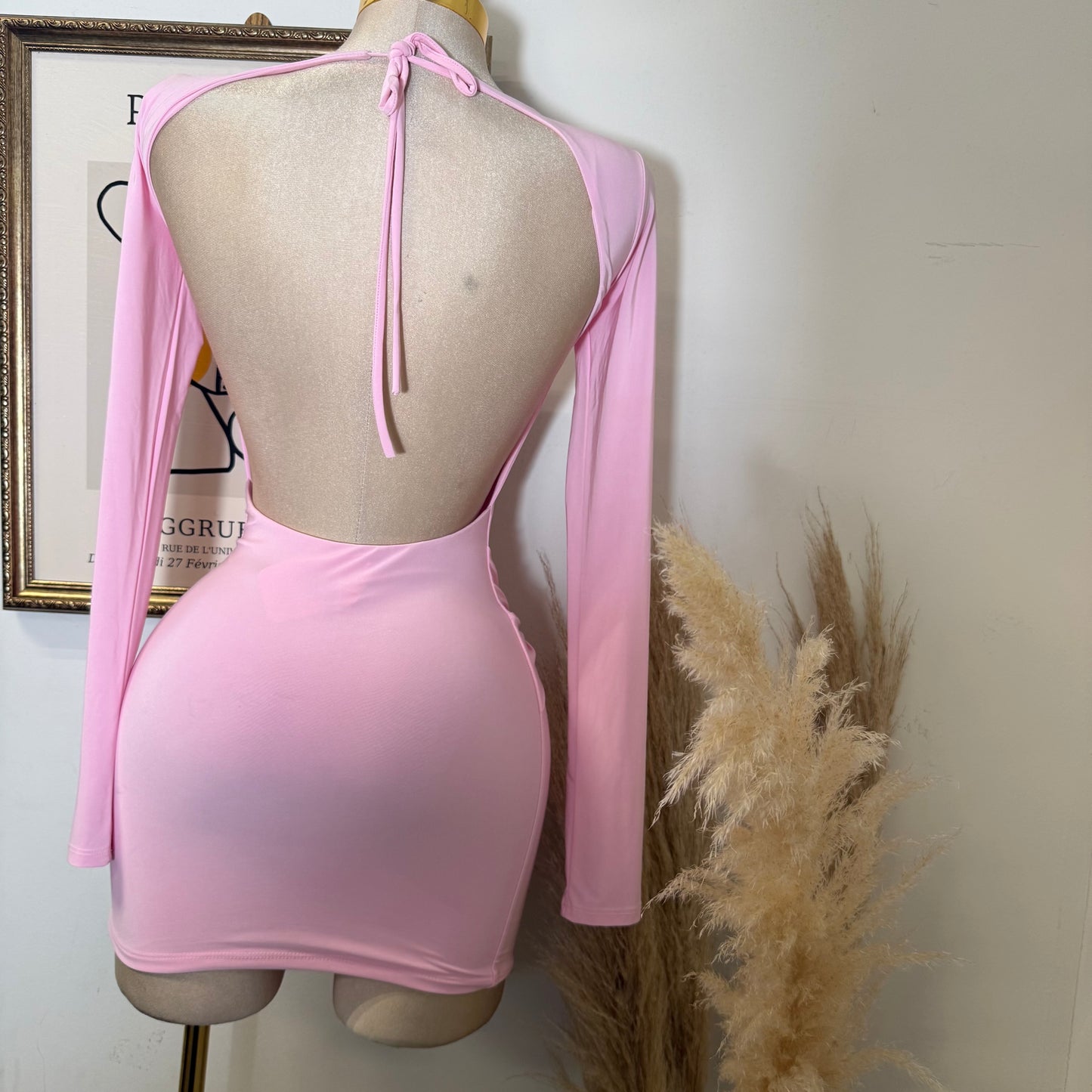 Long Sleeve Drape Trim Detail Mini Dress-Light Pink