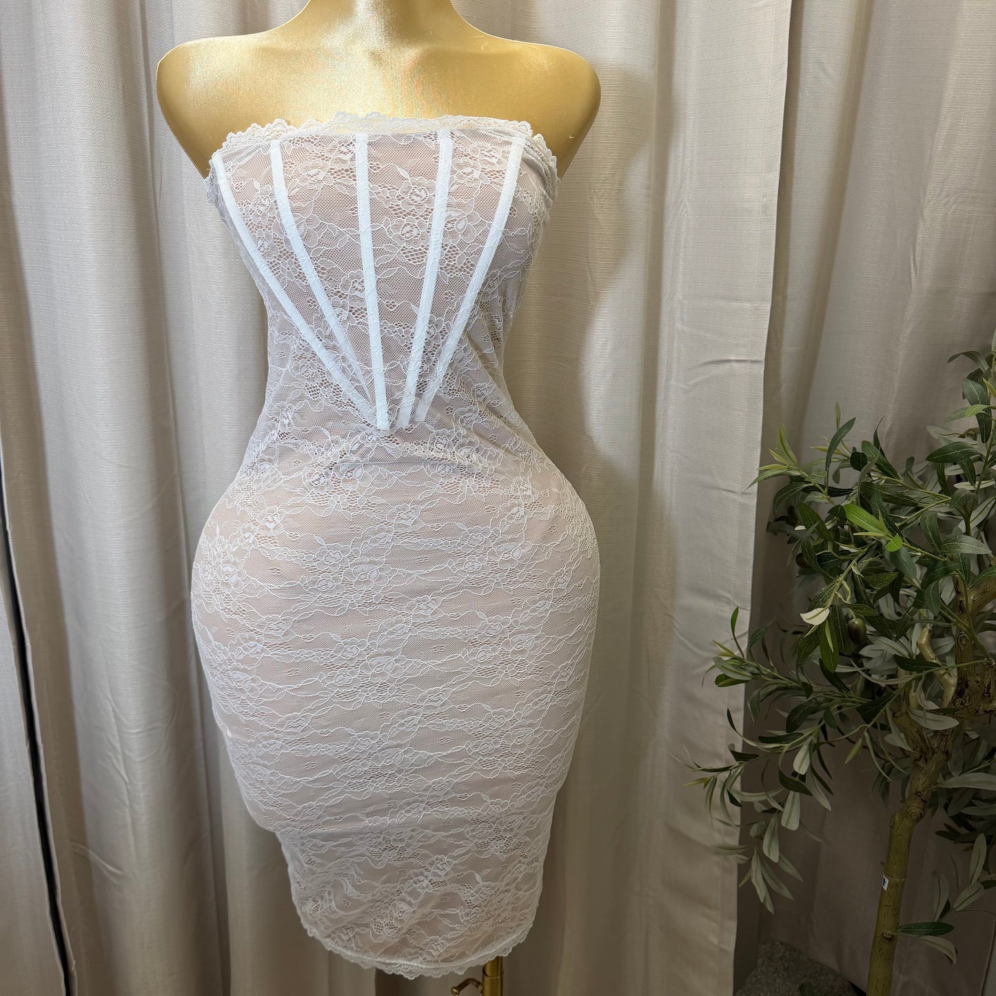 Stretch Lace Corset Body Midi Dress-Ivory
