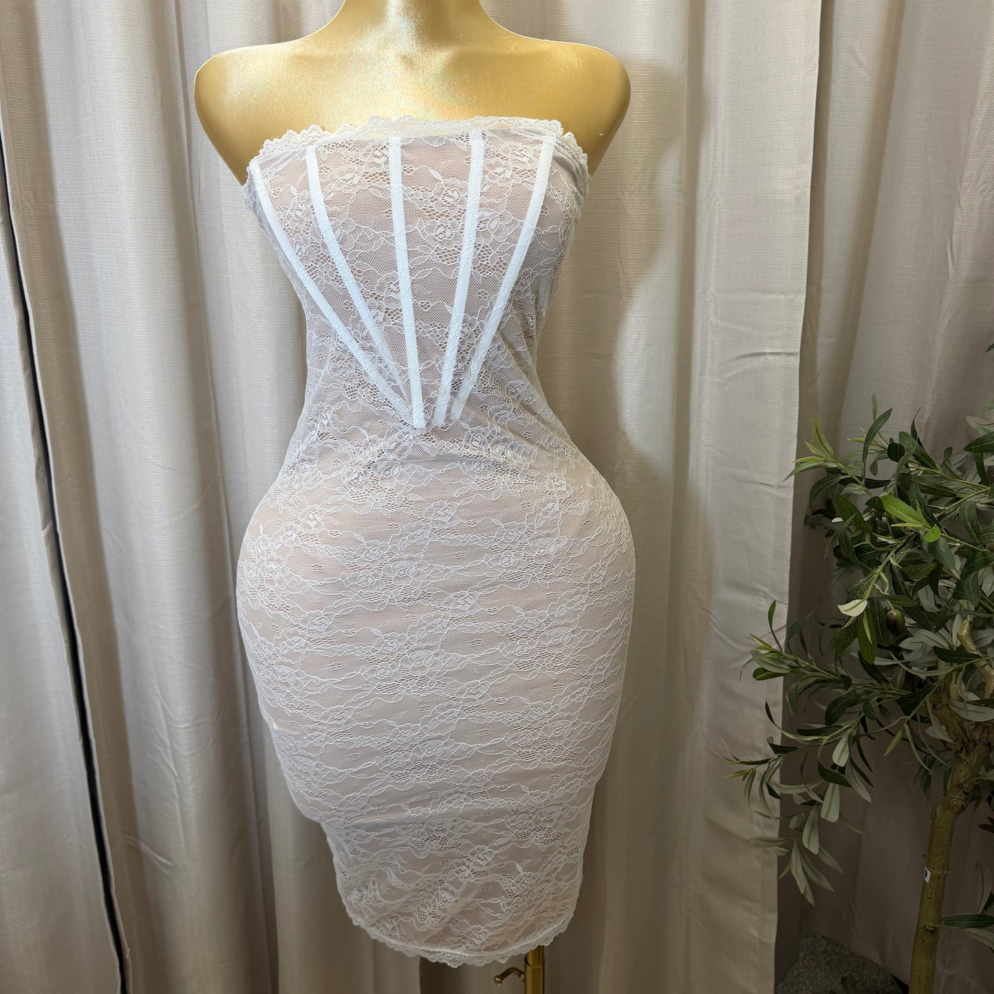 Stretch Lace Corset Body Midi Dress-Ivory