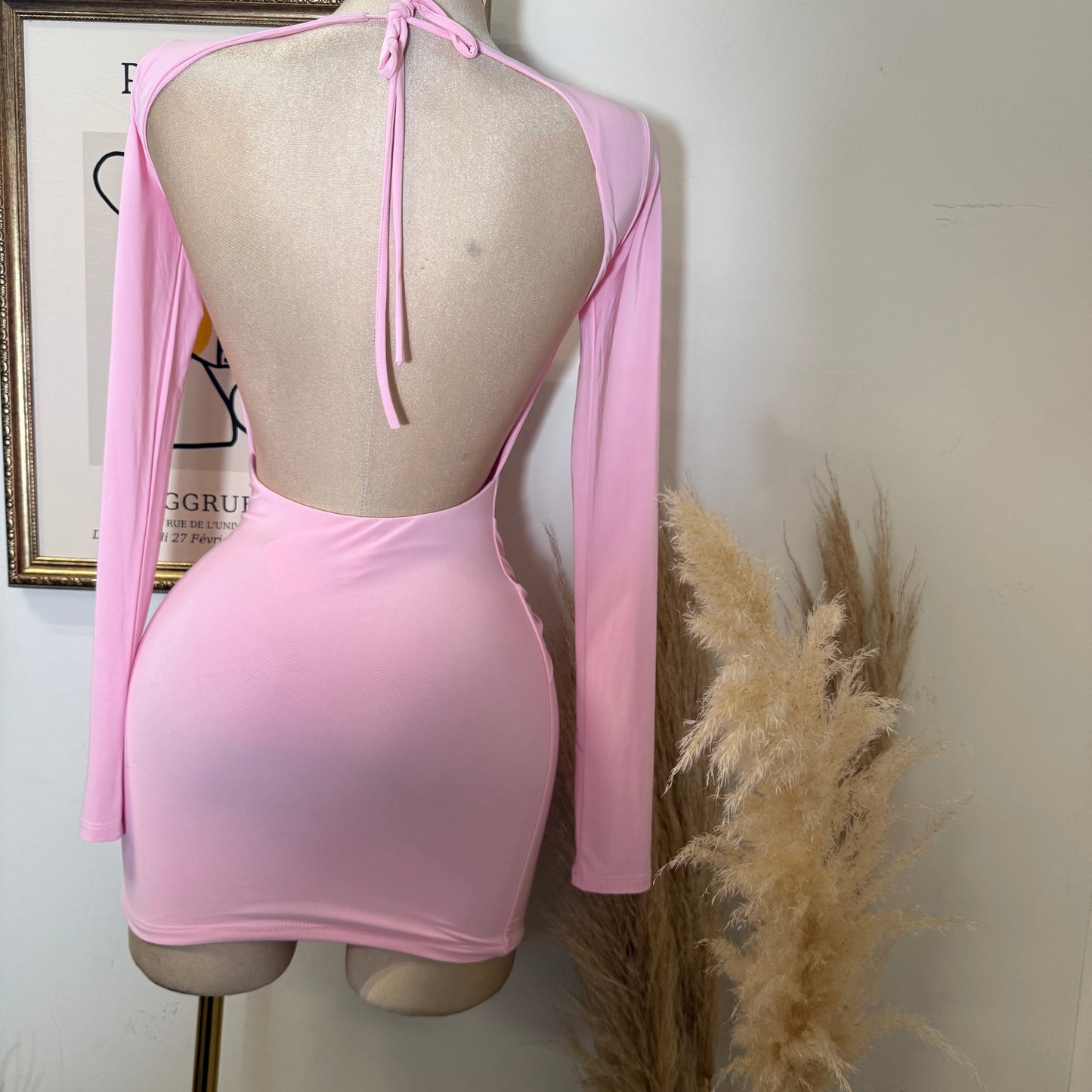 Long Sleeve Drape Trim Detail Mini Dress-Light Pink