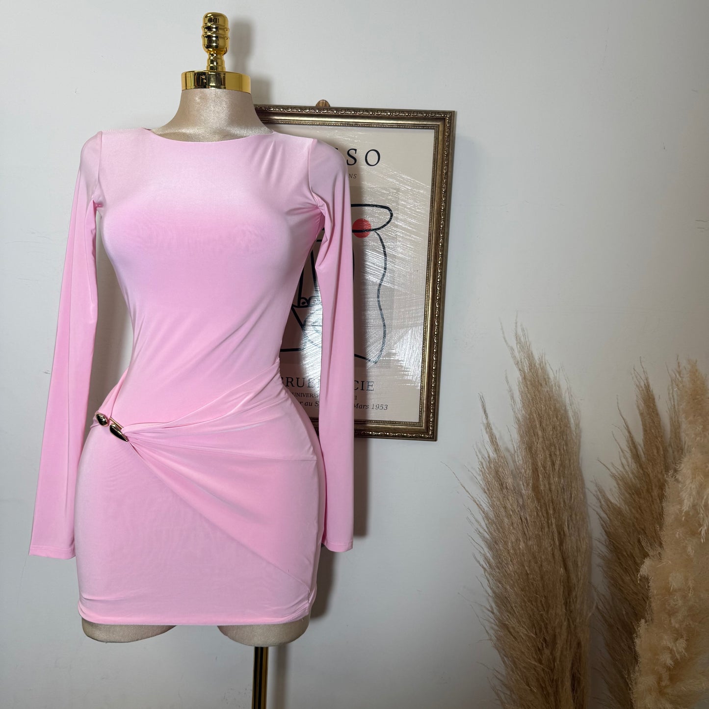 Long Sleeve Drape Trim Detail Mini Dress-Light Pink