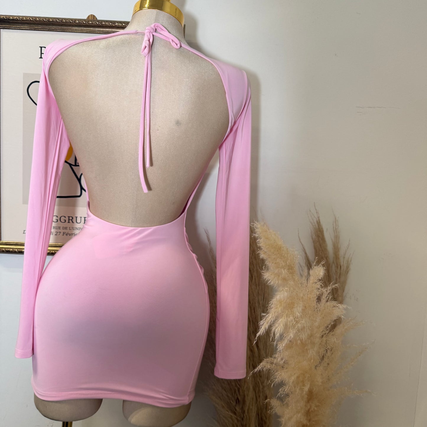 Long Sleeve Drape Trim Detail Mini Dress-Light Pink