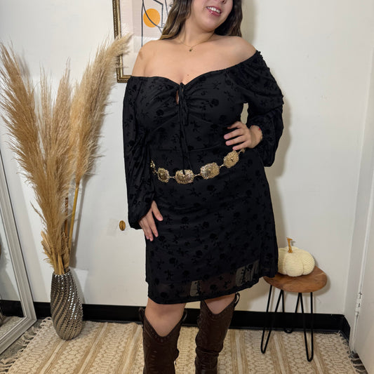 Flocked Mesh Long Sleeve Dress-Black