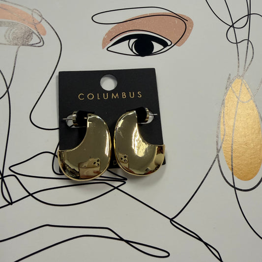 Zion Gold plated earrings